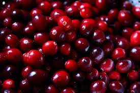 benefits of cranberries